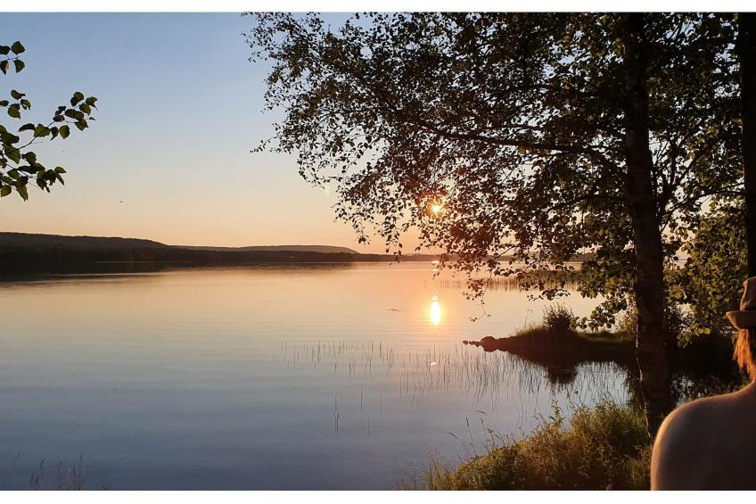 Koivulahden reinola - foto 13