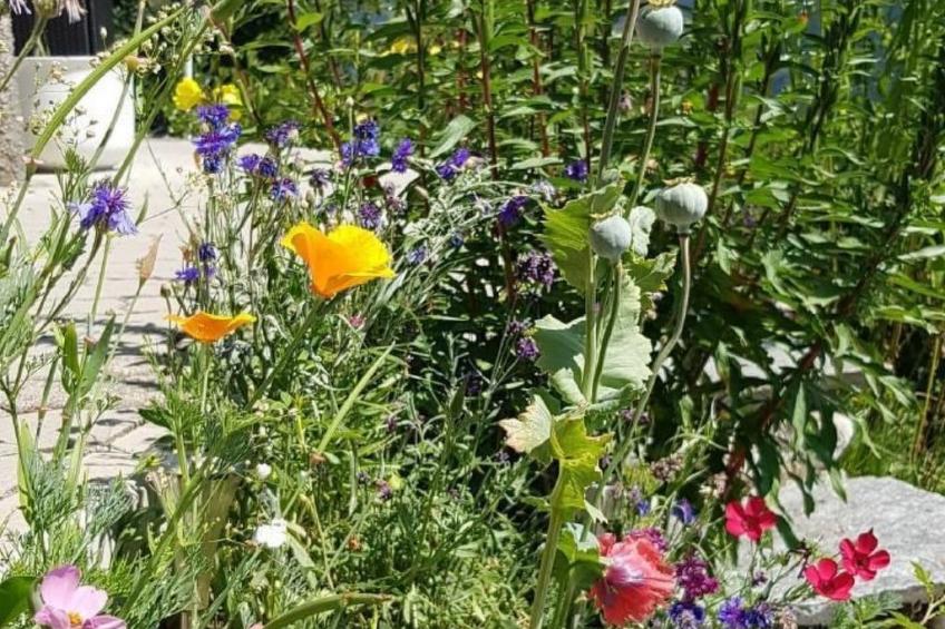 Alpe Monte Massella - foto 46