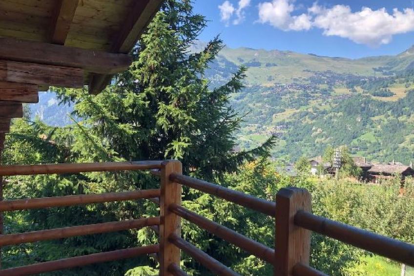 Hakuna Matata- 4 Vallees  Swiss Alps - foto 11