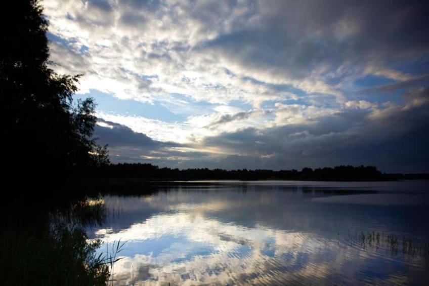 Halseweg 54 - foto 23