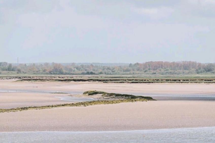 Résidence Sv 8 - Les écureuils : Confort & Sérénité Dans Résidence Privée à St- - foto 28