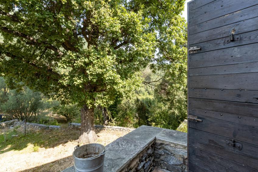 Formicaccia - foto 37