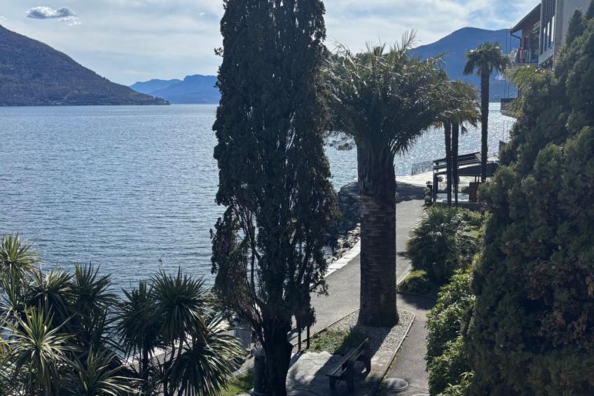 See-Penthouse - foto 35