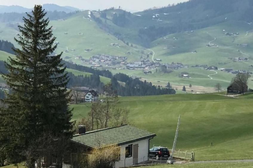 Soldanella - foto 18