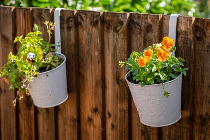 The Annexe at Rosebud Cottage - foto 10