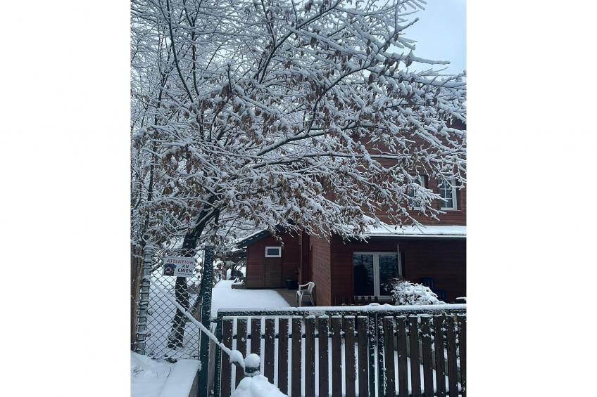 Grundelwald - foto 17