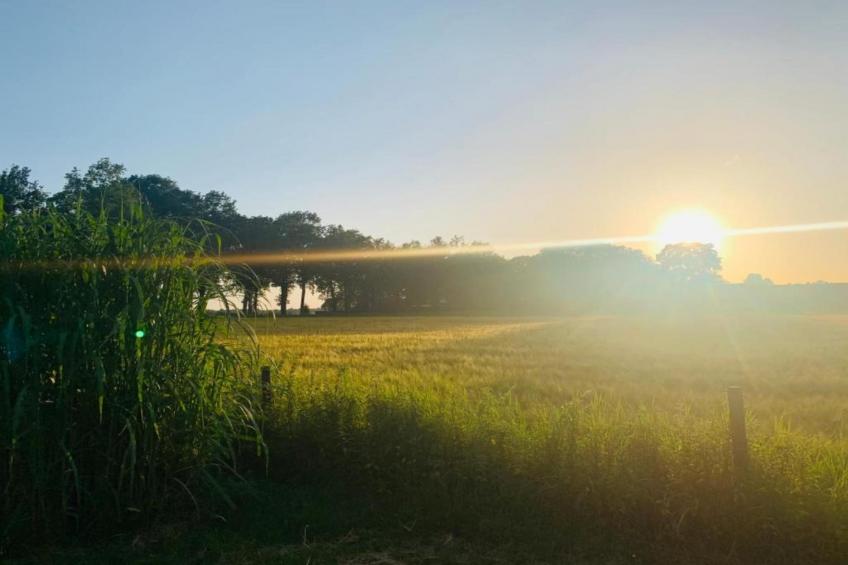 De Weide 4P - foto 36