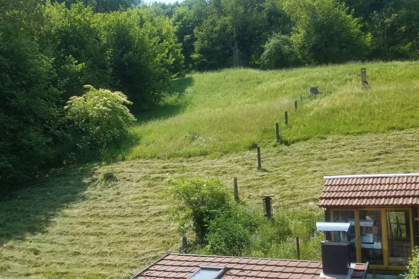 in ruhiger Lage - foto 8