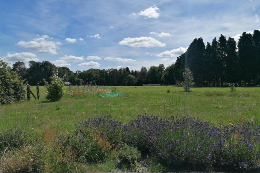 Heivlinder 4p - foto 20