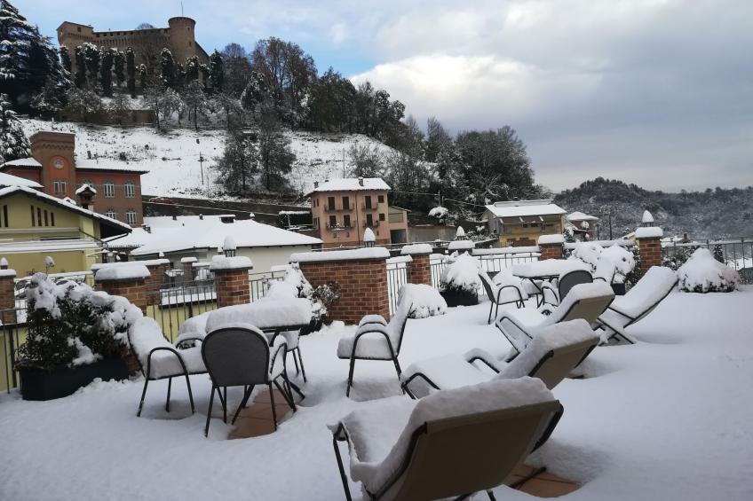 Mondmuscheln - foto 44