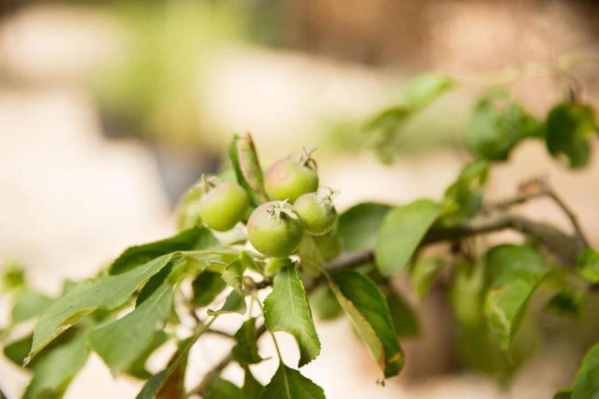 Vakantiepark Weerterbergen 10 - foto 31