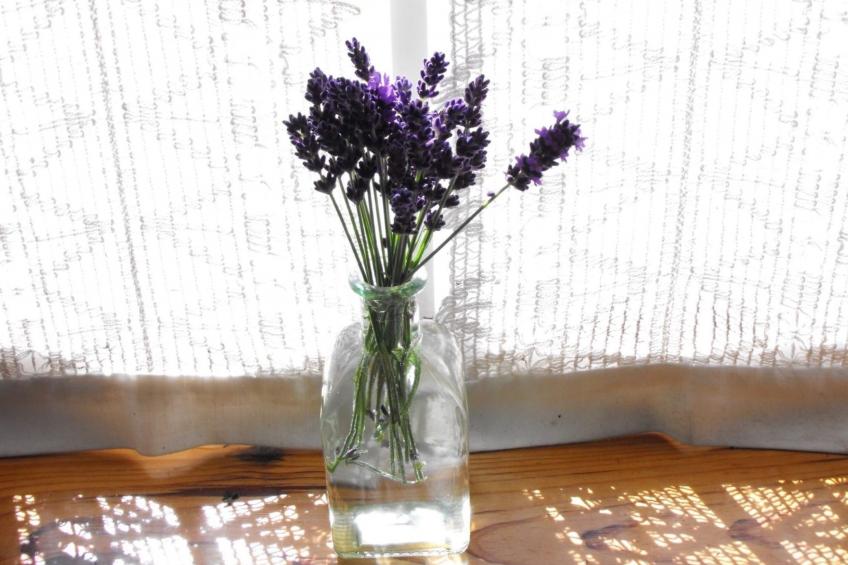 Kleiner Kokon mit seinem geheimen Garten - foto 7