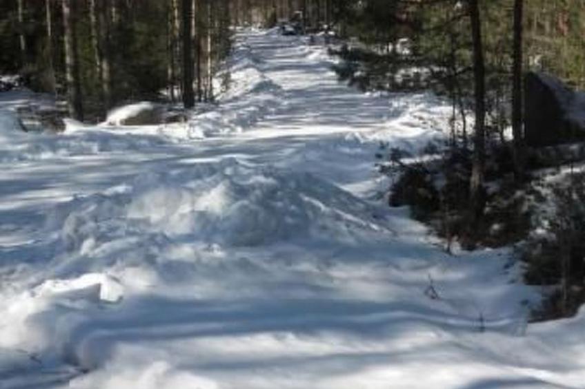 Gepflegtes Ferienhaus mit eigenem Saunahaus - foto 32