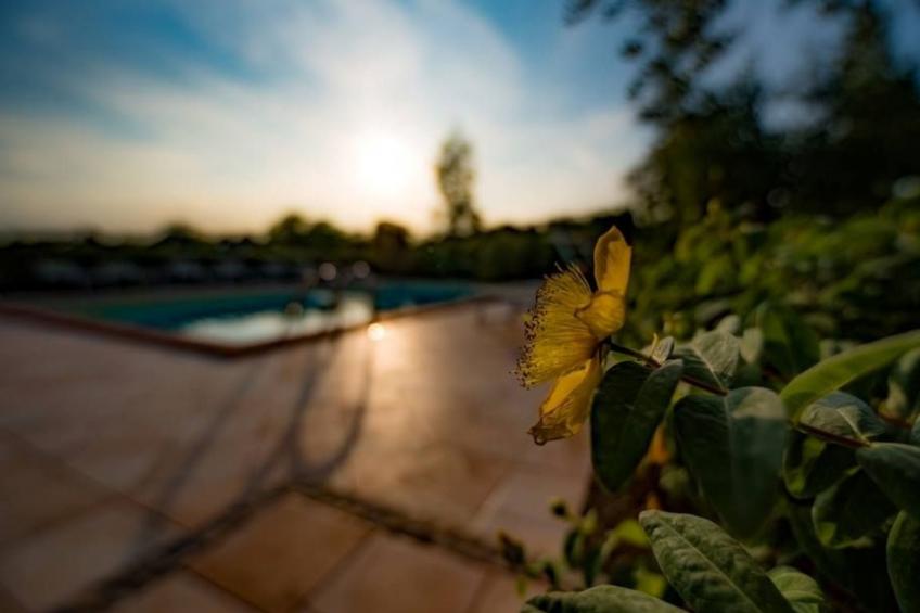 Villa mit Pool für 29 Personen ca. 800 m2 - foto 24