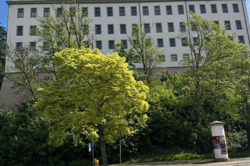 Haus Heiken - foto 17