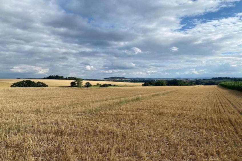 Ferienwohnung Gänsestall - foto 31