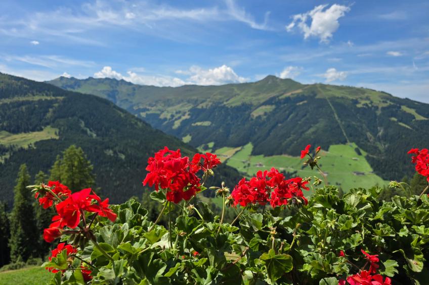 EAGGA-Niederleger Alm - foto 40