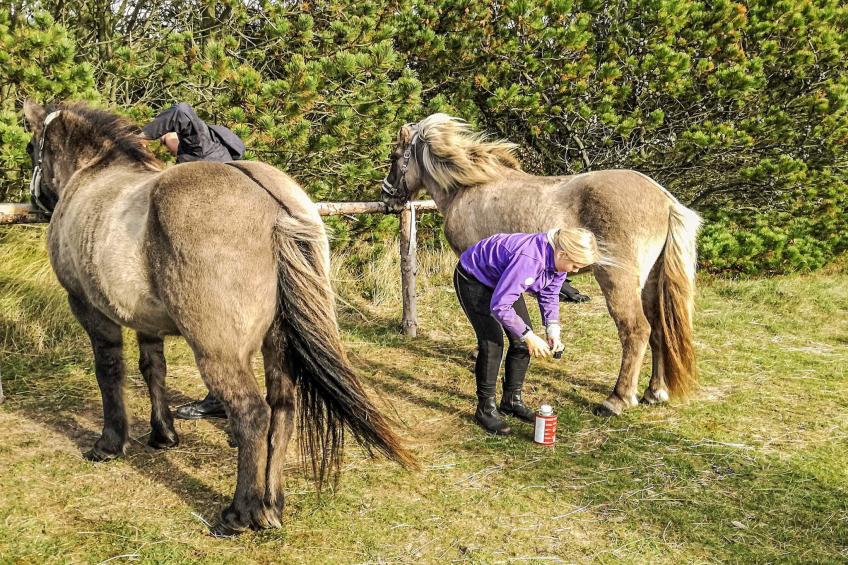 Skovhytte 4 personer - foto 14