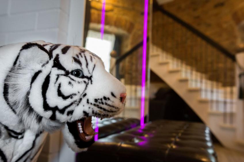 Windmill Ryn - Premium-Ferienhaus - foto 5