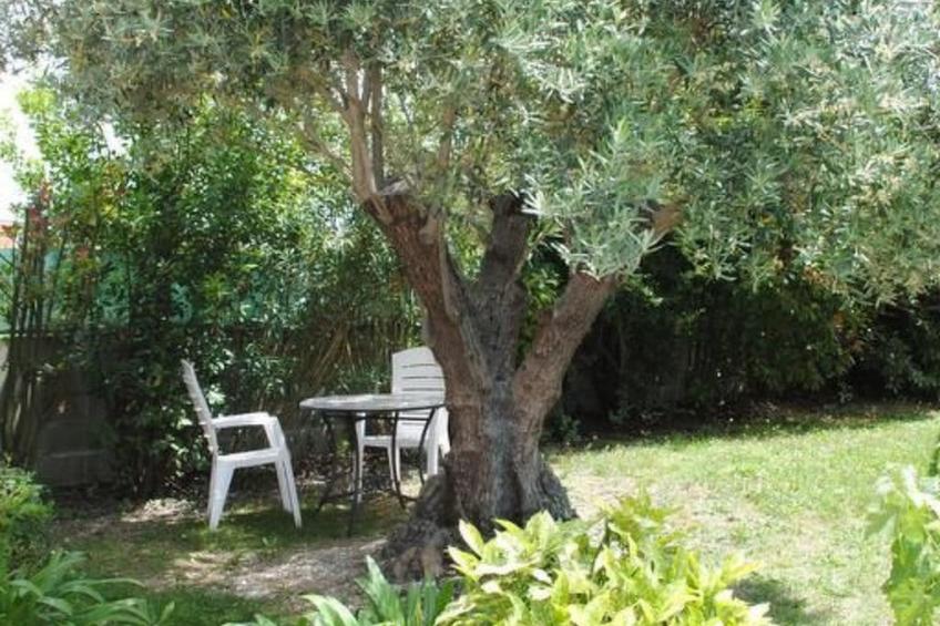 Haus "Les Cyprès" mit Gemeinschaftspool - foto 14