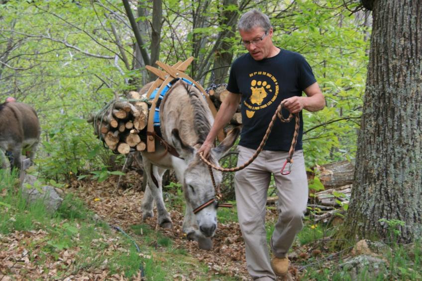 Gîte de Chapelèche Les Châtaigniers für 7 Pers. - foto 29