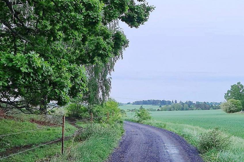 BF-MYRN7 - foto 9