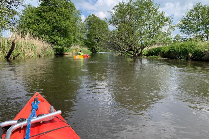 Ferien an der Ostsee - foto 32