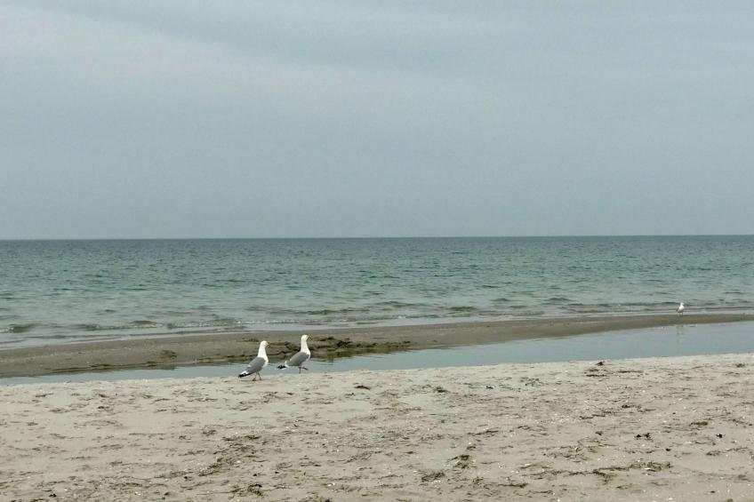 Wiesenblick 6 - foto 26