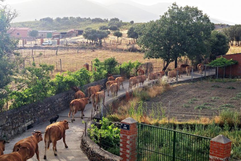 mit privatem Pool - foto 41