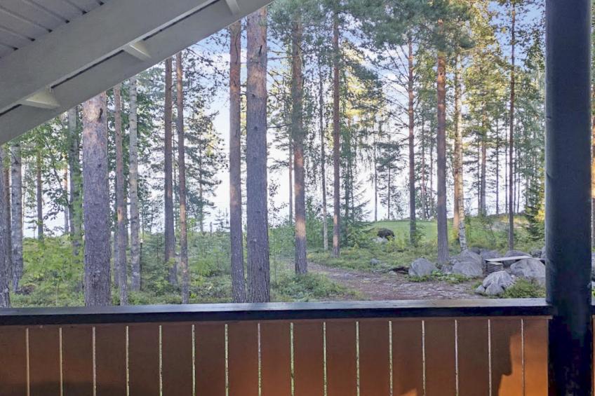 Koli, koliwood a - foto 45