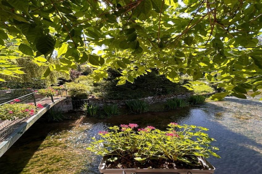 Bligny-sur-Ouche - foto 34