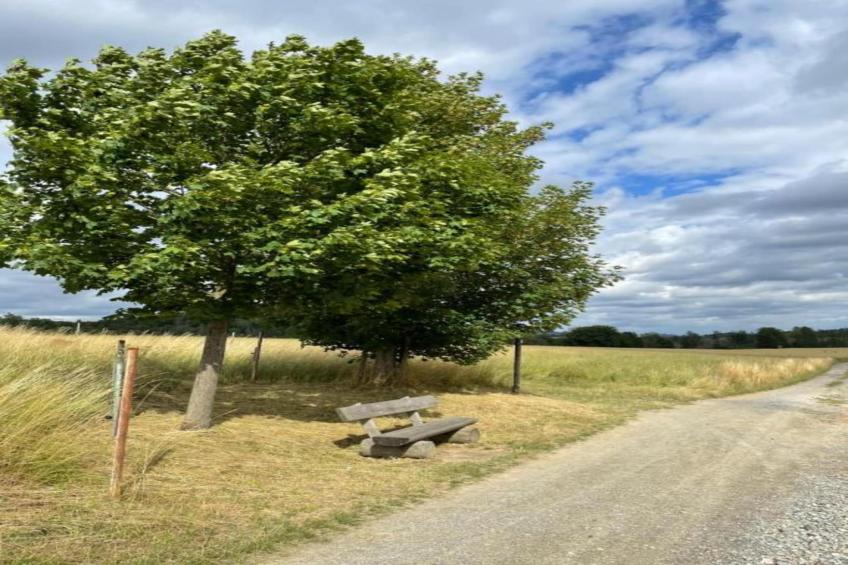 Ferienwohnung in Kamenz - Sachsen - foto 31