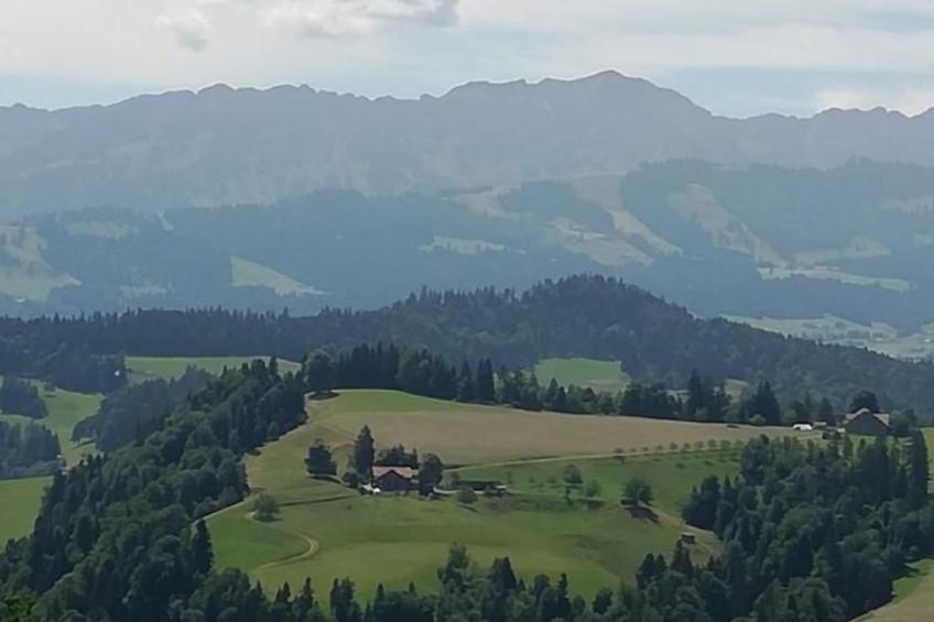 Unter Alpetli - foto 8