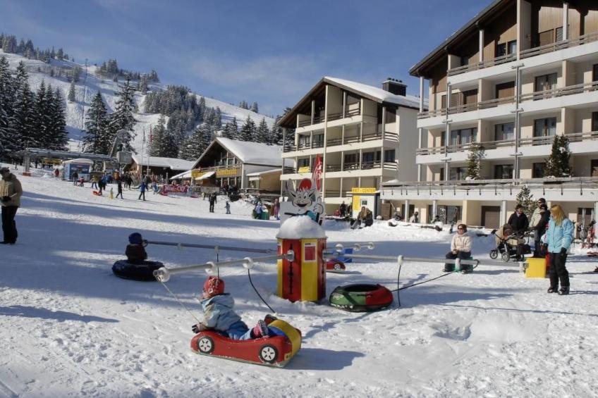 Steinadler - foto 14