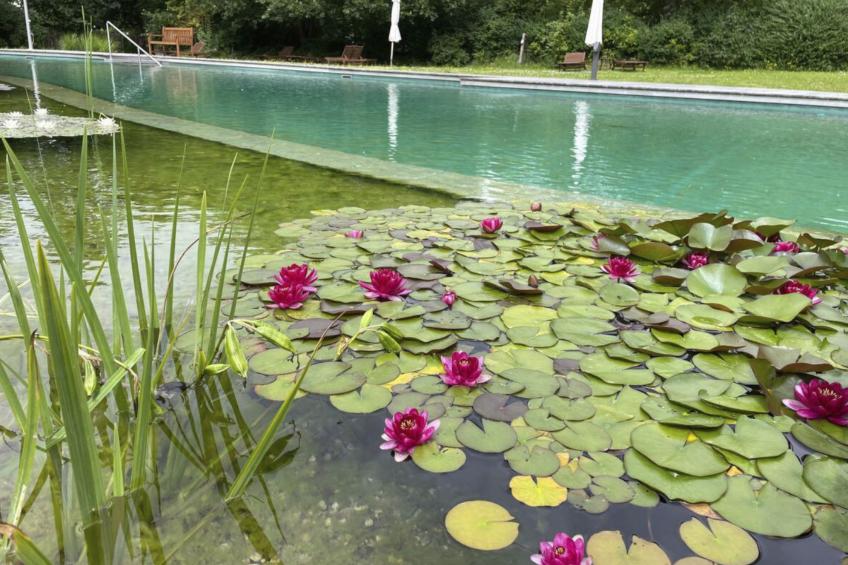 Haus Weitblick - foto 50