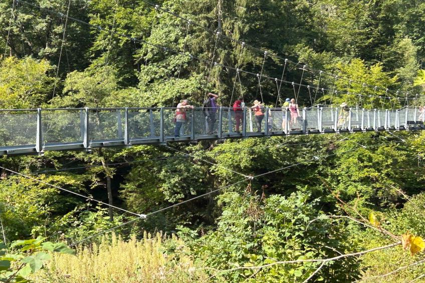 Familienhaus mit großer Wiese bei Bittburg - foto 22