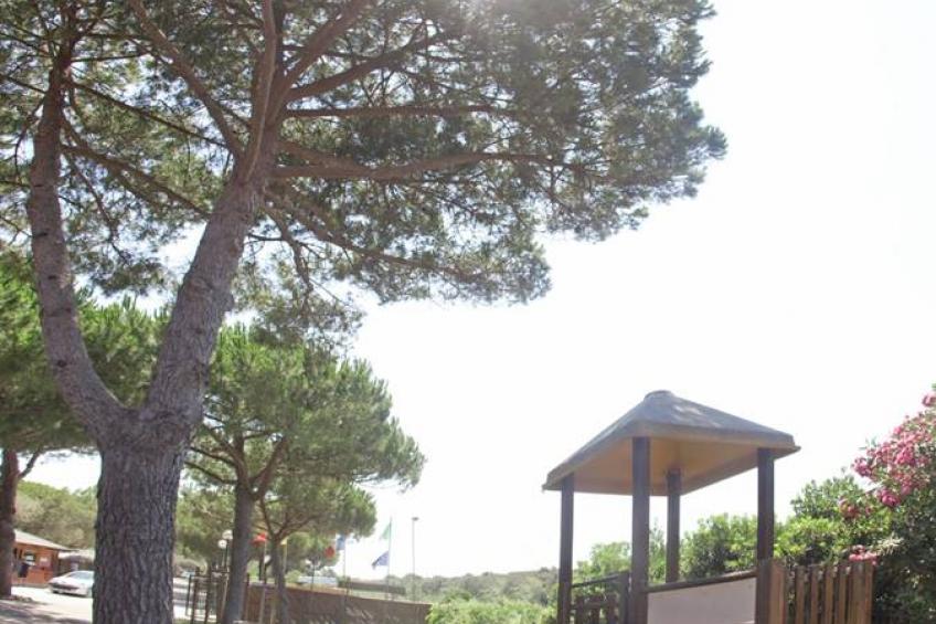 Club Degli Amici Capalbio Superior - foto 13