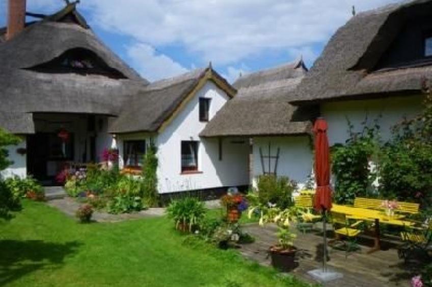 Morgensünn- Nette Wohnung in Althagen mit Terras - foto 3