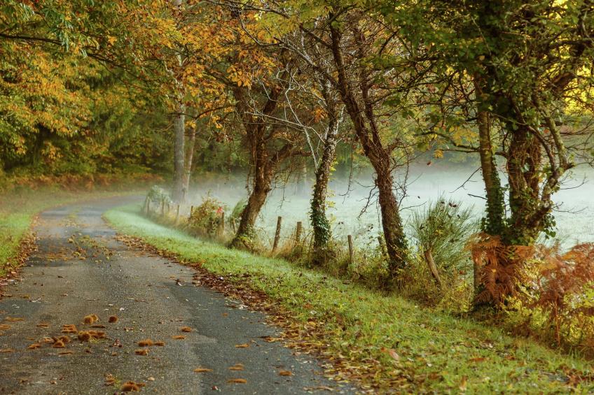 ST CAPRAIS FR-46250-13 - foto 31