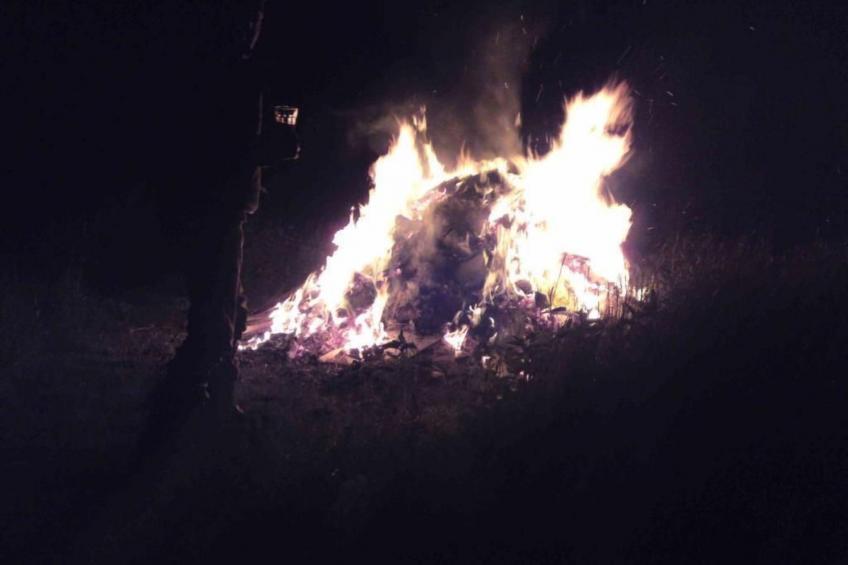 Hof Rodenkrog Fewo 1 - foto 25