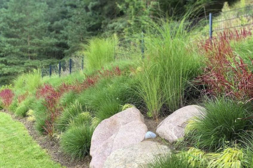 Modernes Ferienhaus mit Sauna, Seeblick, Dachterrasse und Garten - foto 10