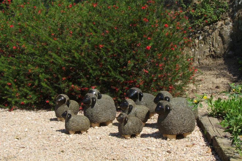 Vall Repos - foto 38