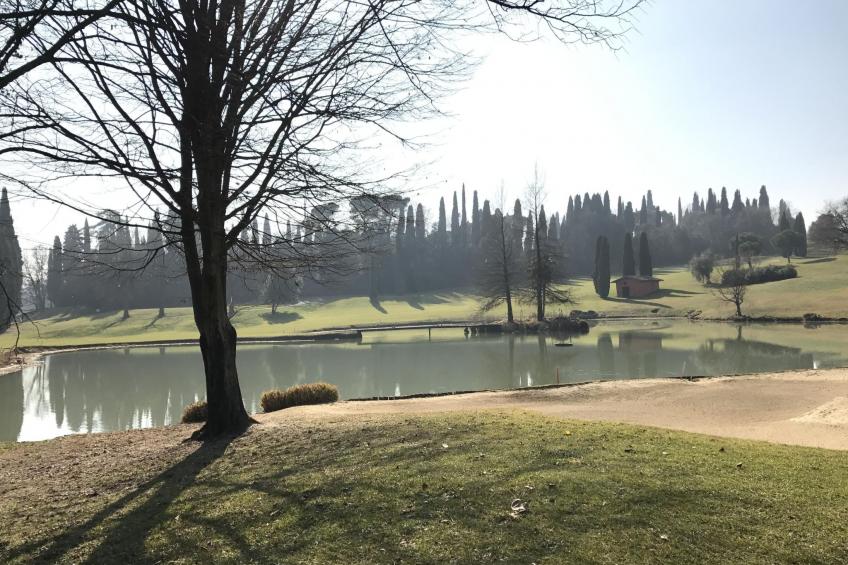 Vista Piazza - foto 34