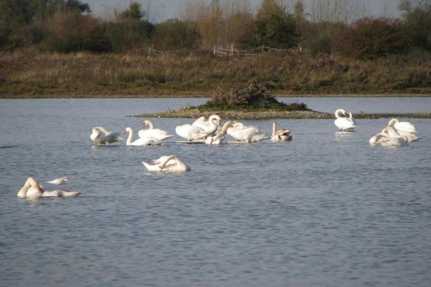 Résidence les Villas de la Baie - foto 40
