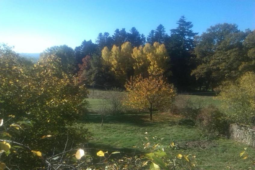 Gite Les Ayes - foto 29