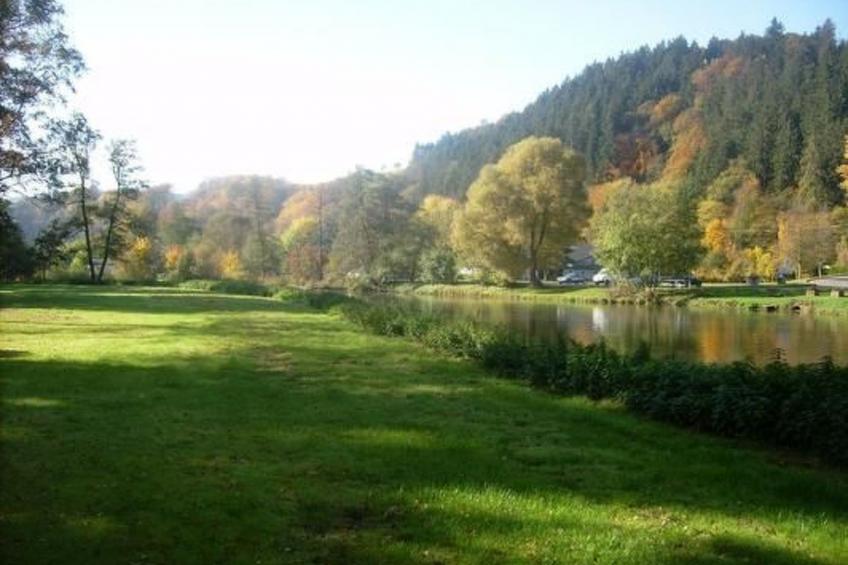 in Waldbreitbach mit Whirlpool - foto 15