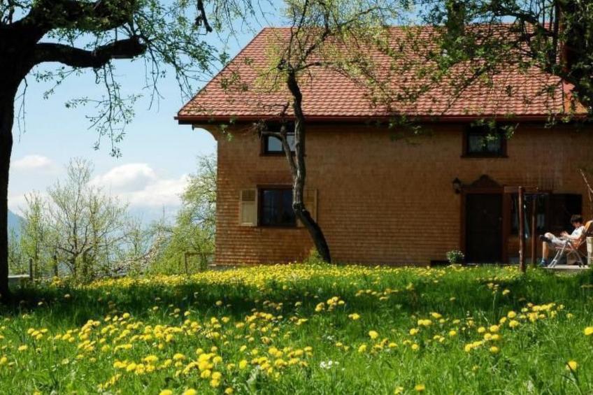 Dünser in Dünserberg - foto 3