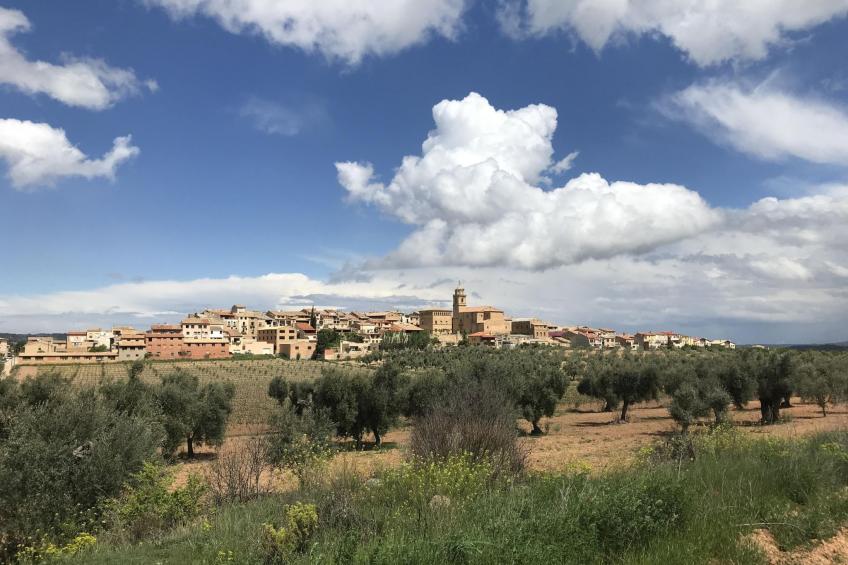 Antiguo Molino - foto 11