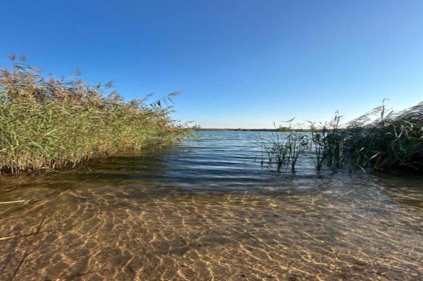 Apartment Eilenburg - foto 39