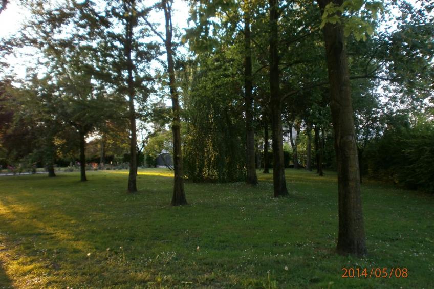 Wohnung 'Rose' mit Terrasse - foto 11